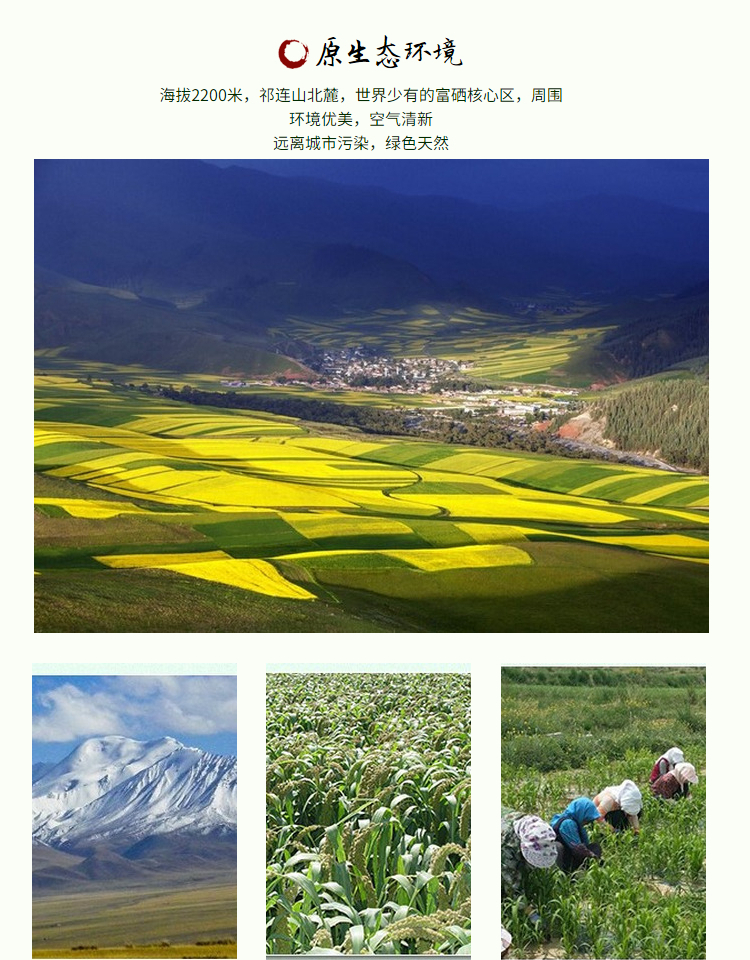 金花寨黑小米-详情3